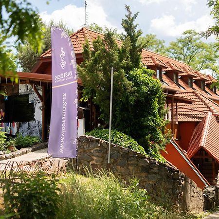 Penzion Nechorka Prušánky المظهر الخارجي الصورة